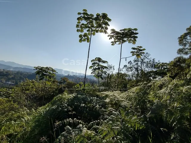Imagem 5: TERRENO COM UMA ÁREA DE 1.226m² EM CONDOMÍNIO