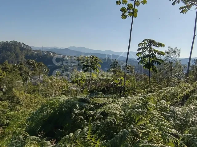 Imagem 8: TERRENO COM UMA ÁREA DE 1.226m² EM CONDOMÍNIO