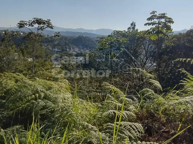 Imagem 11: TERRENO COM UMA ÁREA DE 1.226m² EM CONDOMÍNIO
