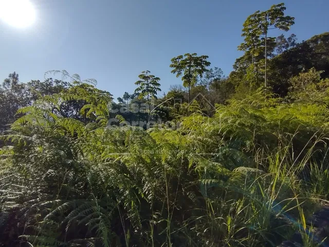 Imagem 9: TERRENO COM UMA ÁREA DE 1.226m² EM CONDOMÍNIO