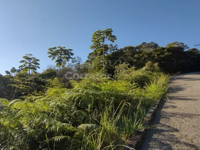 Imagem 14: TERRENO COM UMA ÁREA DE 1.226m² EM CONDOMÍNIO