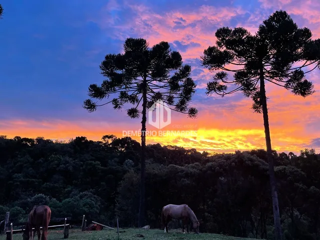 Imagem: Chácara À Venda no Bairro Serrinha - Campo