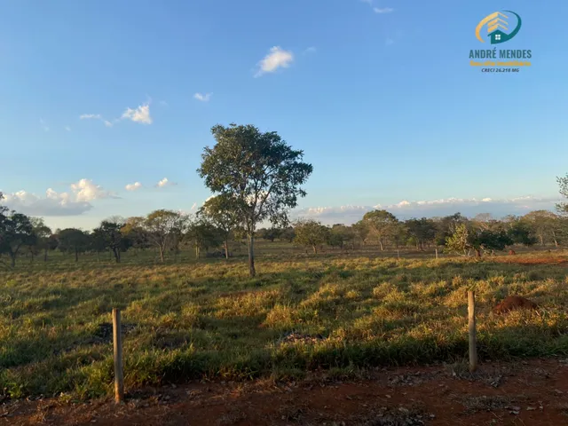 Imagem: Fazenda À Venda, 246 Hectares, R$ 5 Milhões