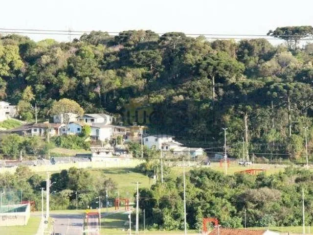Imagem 6: Terreno no Campo Comprido