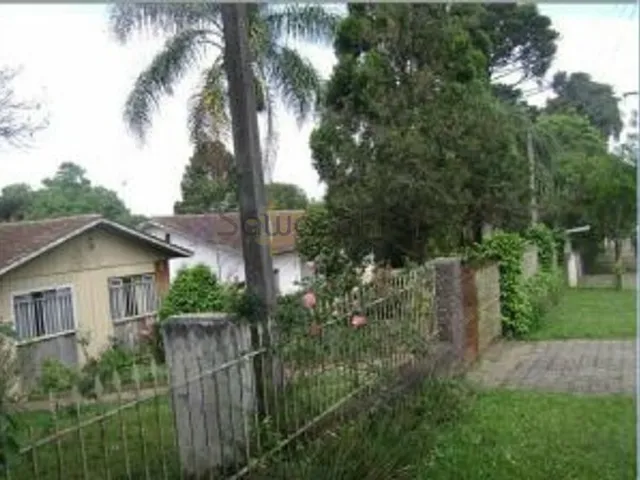 Imagem 6: Terreno para Venda em Uberaba Curitiba-PR