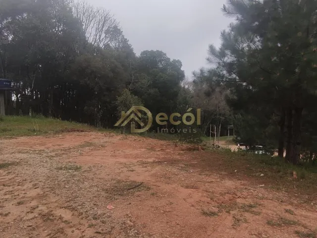 Imagem 2: LINDA CHÁCARA EM FORMAÇÃO