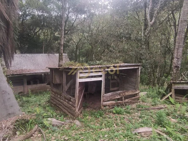 Imagem 13: LINDA CHÁCARA EM FORMAÇÃO