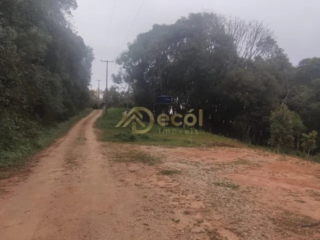 Imagem 5: LINDA CHÁCARA EM FORMAÇÃO