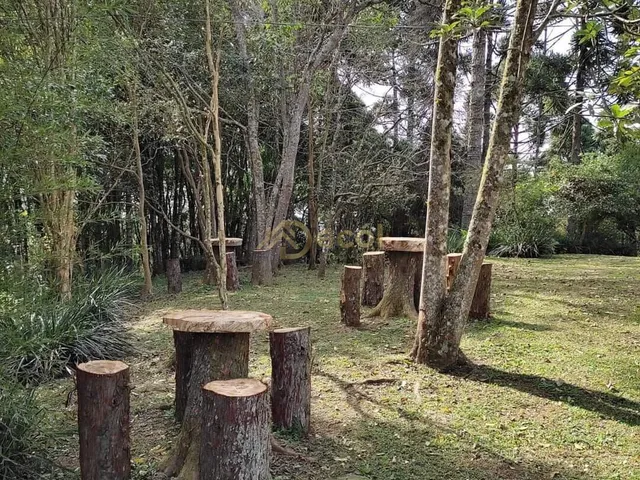 Imagem 16: Chácara das Magnólia em Contenda