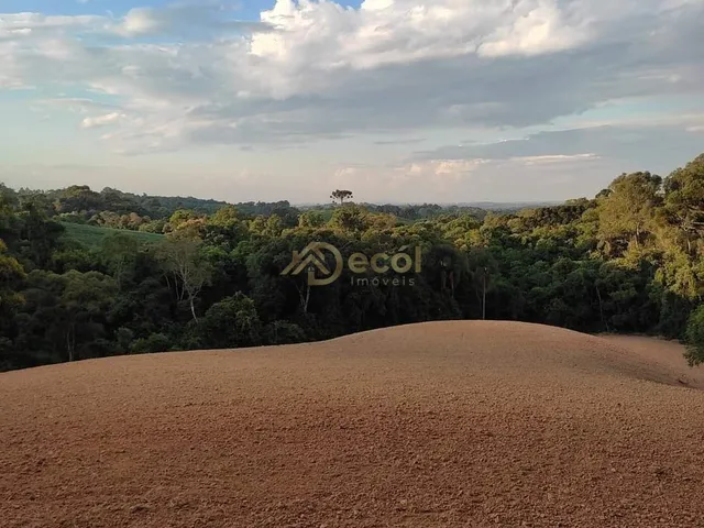 Imagem 11: Chácara das Magnólia em Contenda