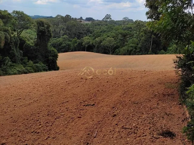 Imagem 15: Chácara das Magnólia em Contenda