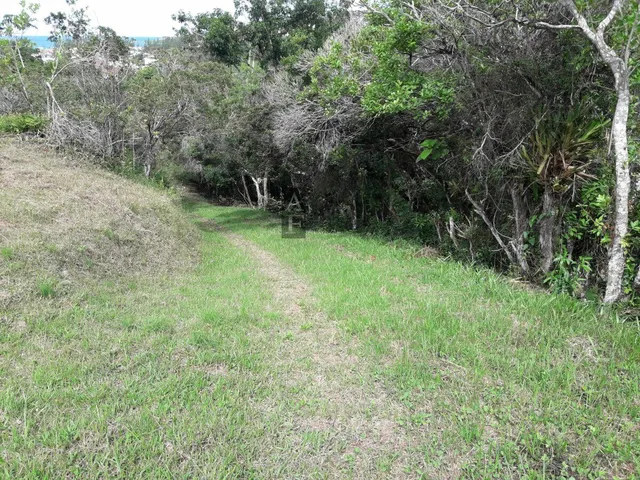 Imagem 10: Terreno em Garopaba no morrinhos