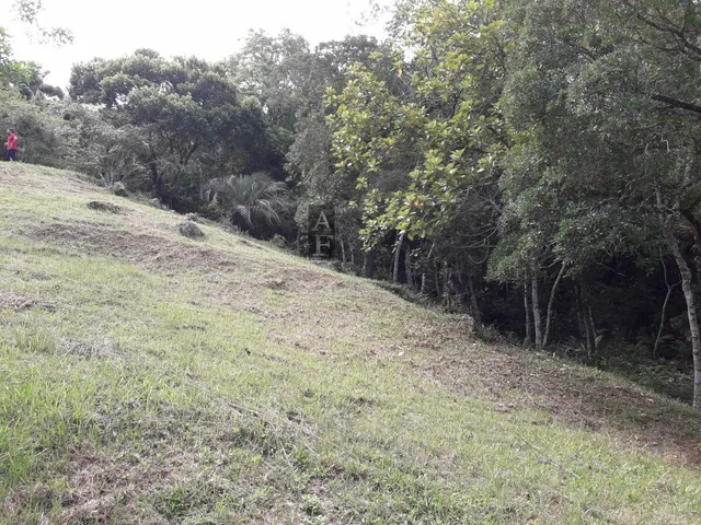Imagem 4: Terreno em Garopaba no morrinhos