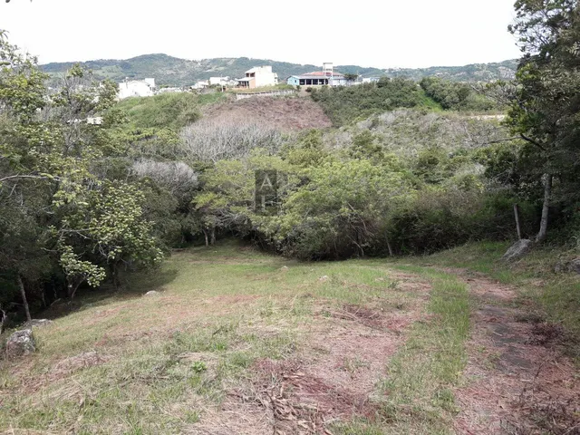 Imagem 16: Terreno em Garopaba no morrinhos