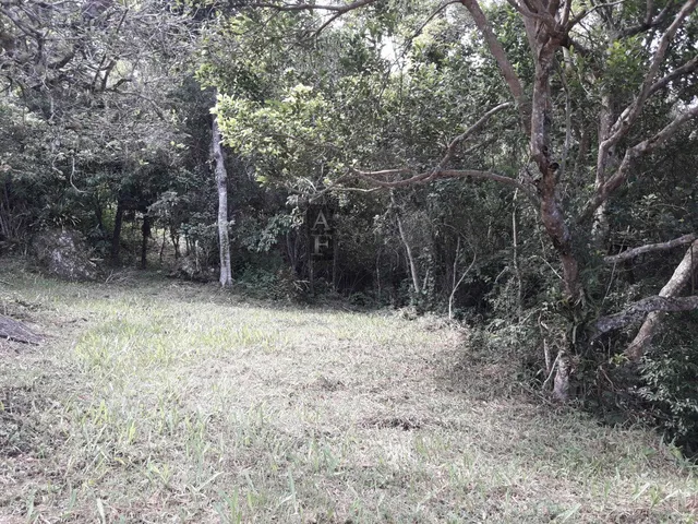 Imagem 12: Terreno em Garopaba no morrinhos
