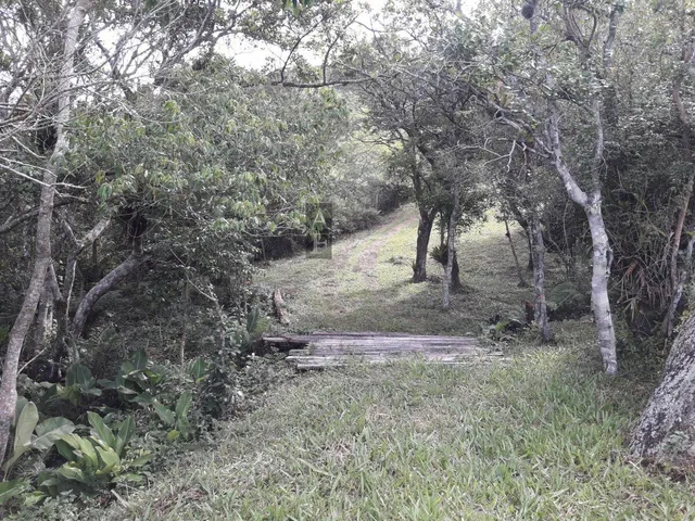 Imagem 14: Terreno em Garopaba no morrinhos
