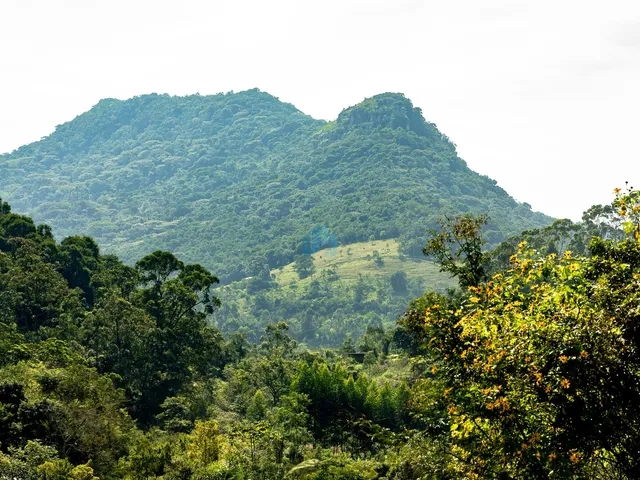 Imagem 1: Amplo Terreno em Garopaba, com Vista P/ a Pedra Branca e a 500 M da Cascata Encantada