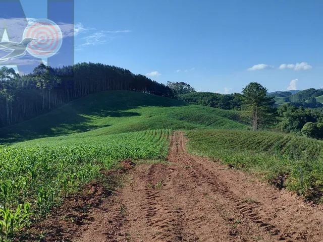 Imagem: Área à venda em Bateias de Baixo - Campo