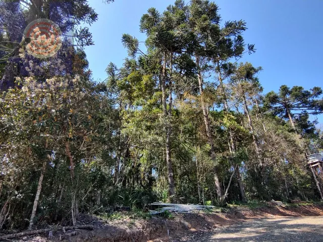 Imagem 10: Área à venda em Bateias de Baixo - Campo Alegre/SC, Rural