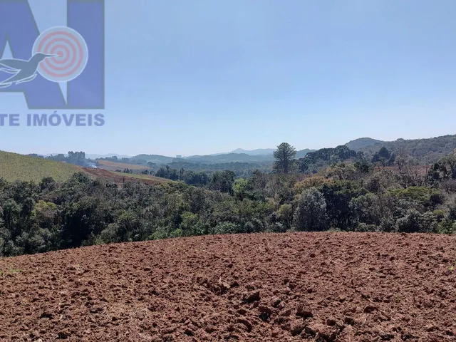 Imagem 13: Área à venda em Bateias de Baixo - Campo Alegre/SC, Rural