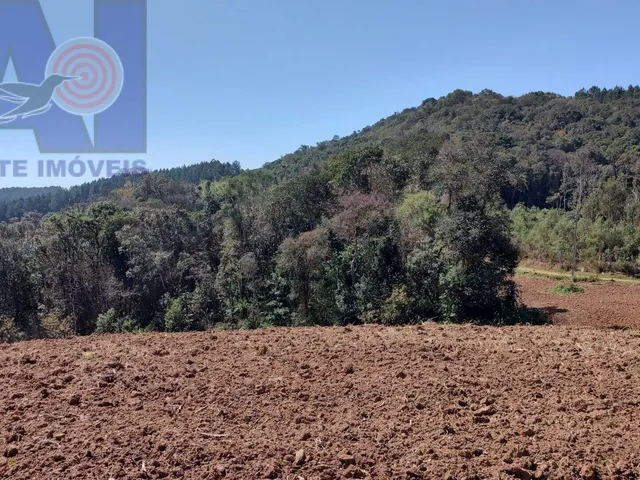 Imagem 2: Área à venda em Bateias de Baixo - Campo Alegre/SC, Rural