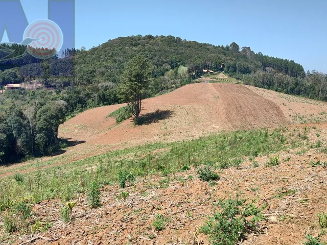 Imagem 4: Área à venda em Bateias de Baixo - Campo Alegre/SC, Rural