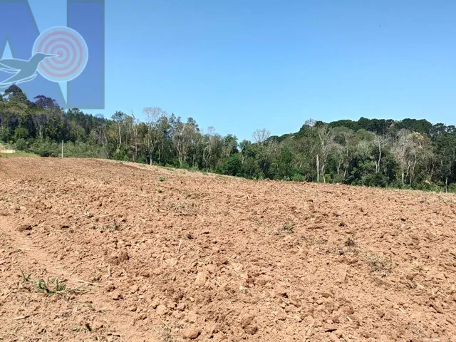 Imagem 11: Área à venda em Bateias de Baixo - Campo Alegre/SC, Rural