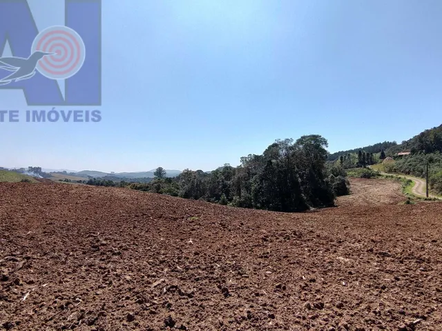 Imagem 9: Área à venda em Bateias de Baixo - Campo Alegre/SC, Rural
