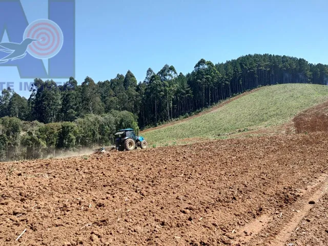 Imagem 5: Área à venda em Bateias de Baixo - Campo Alegre/SC, Rural