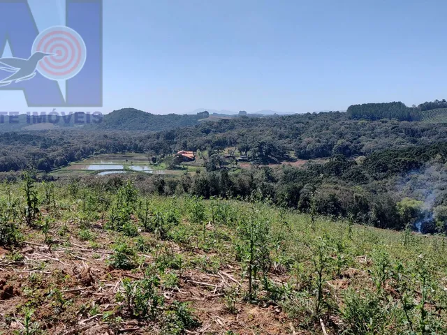Imagem 14: Área à venda em Bateias de Baixo - Campo Alegre/SC, Rural
