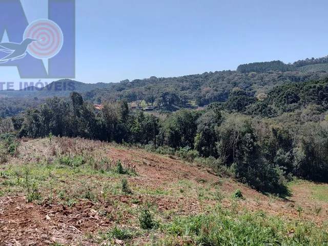 Imagem 6: Área à venda em Bateias de Baixo - Campo Alegre/SC, Rural