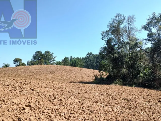 Imagem 12: Área à venda em Bateias de Baixo - Campo Alegre/SC, Rural