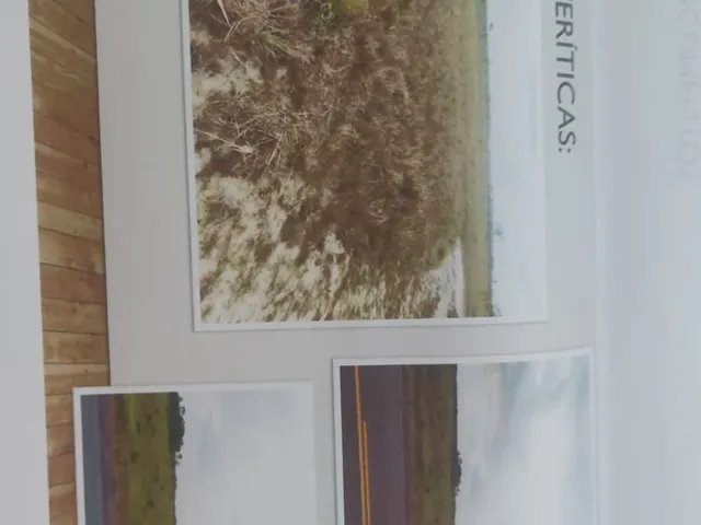 Imagem: A fazenda está localizado em Itaubal, Itaubal à venda por