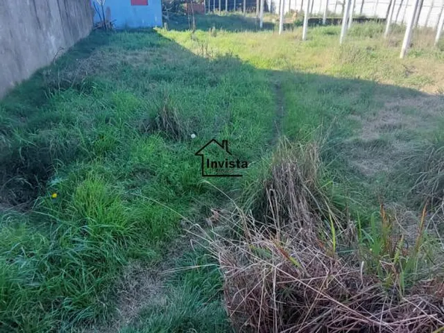 Imagem: O terreno possui 20m² de Área e está localizado em São