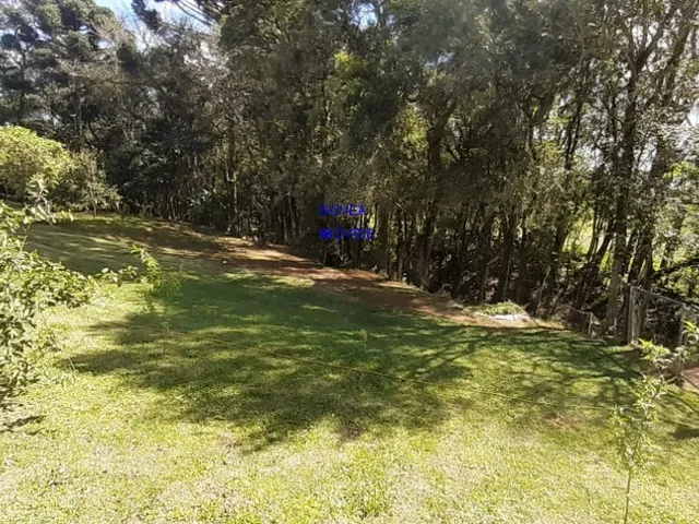 Imagem 3: Chácara, 24.200M², com 3 Casas, Nascentes de Água, Internet Via Cabo, 2 Km do Asfalto