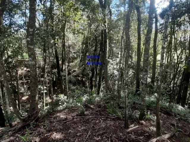 Imagem 10: Chácara, 24.200M², com 3 Casas, Nascentes de Água, Internet Via Cabo, 2 Km do Asfalto