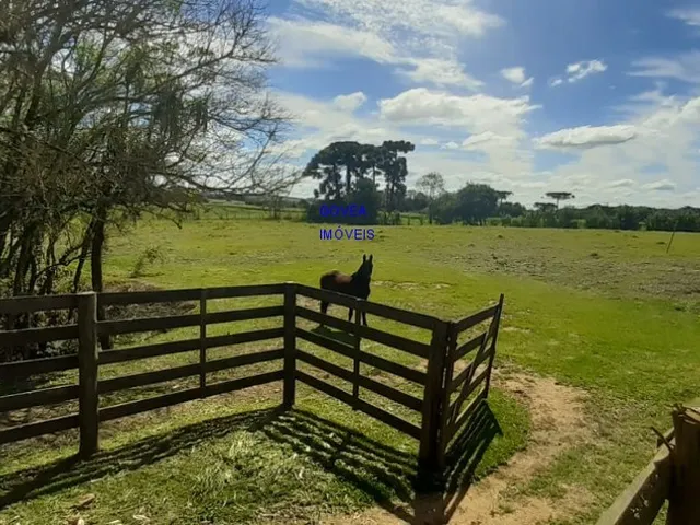 Imagem 4: Chácara, 24.200M², com 3 Casas, Nascentes de Água, Internet Via Cabo, 2 Km do Asfalto
