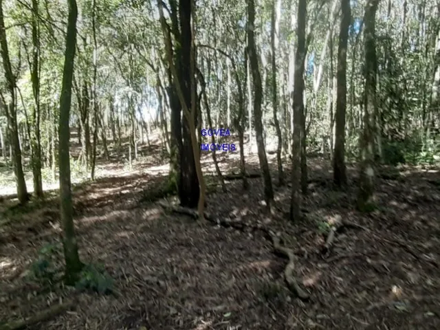 Imagem 11: Chácara, 24.200M², com 3 Casas, Nascentes de Água, Internet Via Cabo, 2 Km do Asfalto