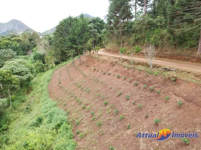 Imagem 14: Lindo Sitio com 280.000 M² de Terreno, Casa Sede , Lago com Peixes , Área Para