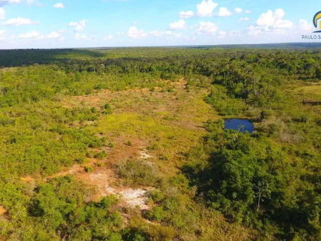 Imagem: Fazenda de 195 Alqueires Escriturada Á