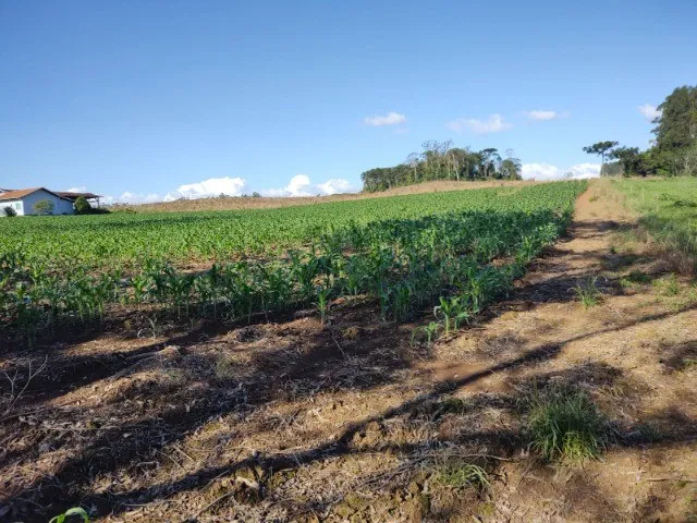 Imagem: Terreno Comercial e Residencial em Rio Antinhas