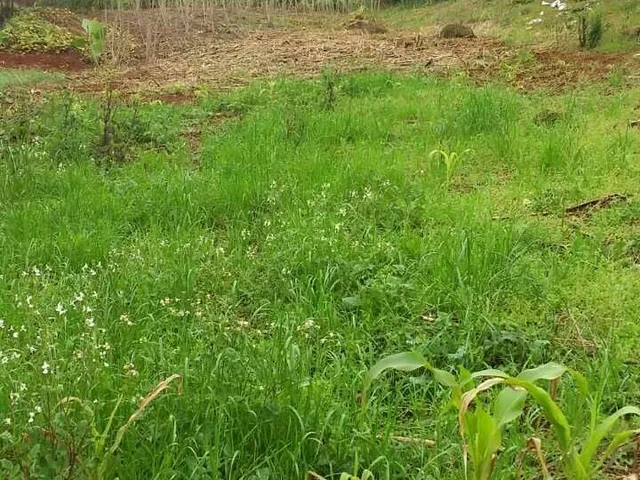 Imagem: Terreno À Venda no Bairro Paraíso - Chapecó/Sc