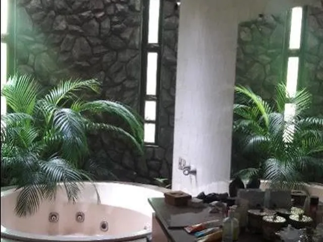 Imagem: Sobrado Residencial com Perfil Comercial