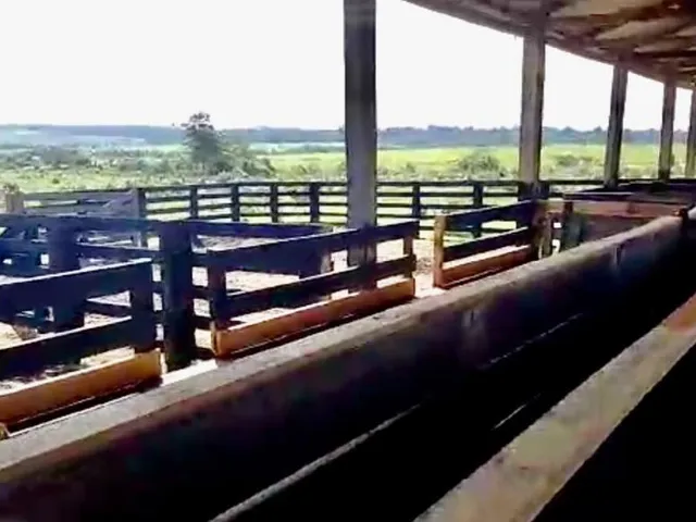 Imagem: Fazenda com 500 Alqueires Nova Bandeirante
