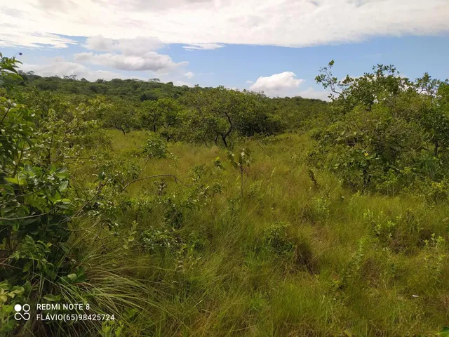Imagem: Fazenda com 336 Hectares em Chapada dos