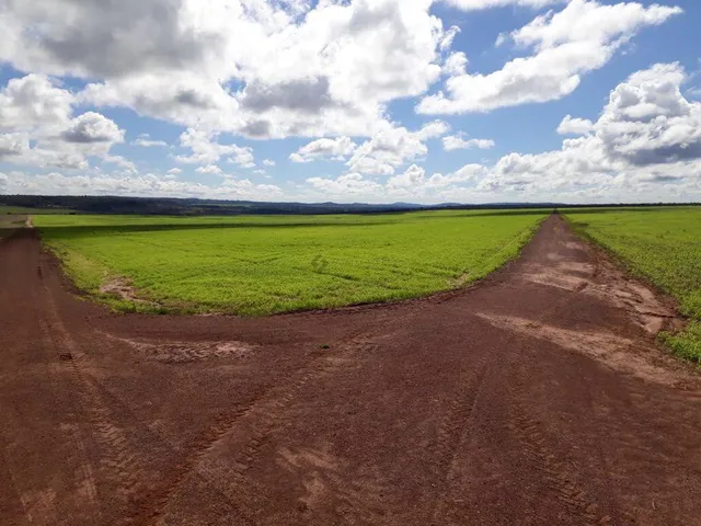 Imagem 2: Fazenda em Primavera do Leste - Mt
