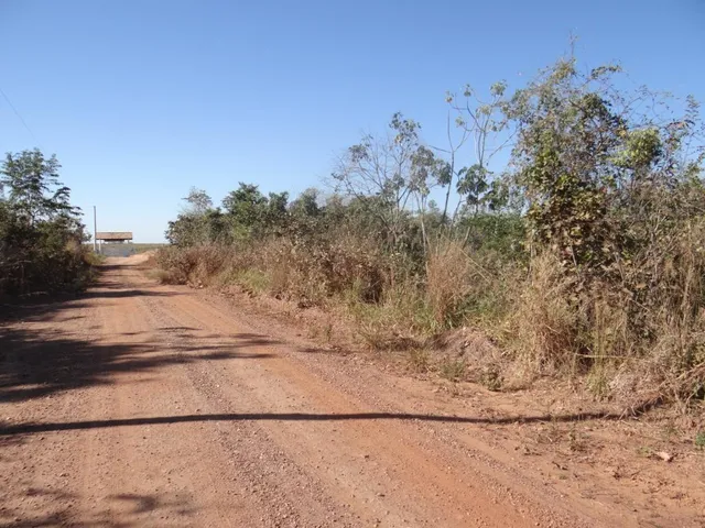 Imagem 4: Fazenda com 100 Hectares em Cuiabá/Mt