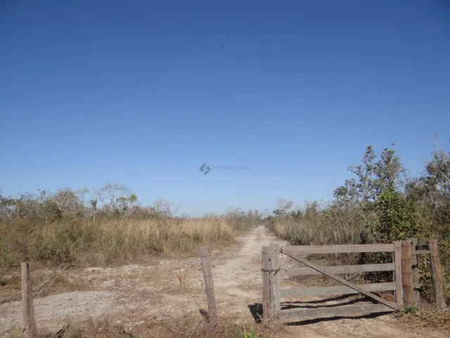 Imagem 5: Fazenda com 100 Hectares em Cuiabá/Mt