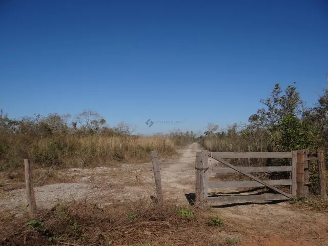 Imagem 6: Fazenda com 100 Hectares em Cuiabá/Mt