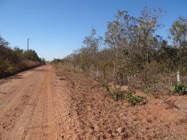 Imagem 7: Fazenda com 100 Hectares em Cuiabá/Mt